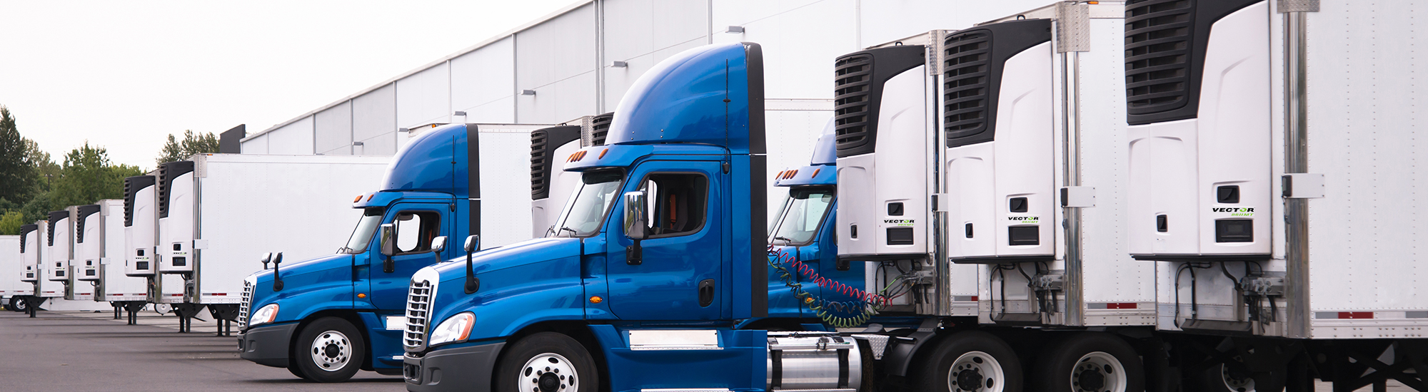 Vector™ 8811MT Trailer Refrigeration Unit