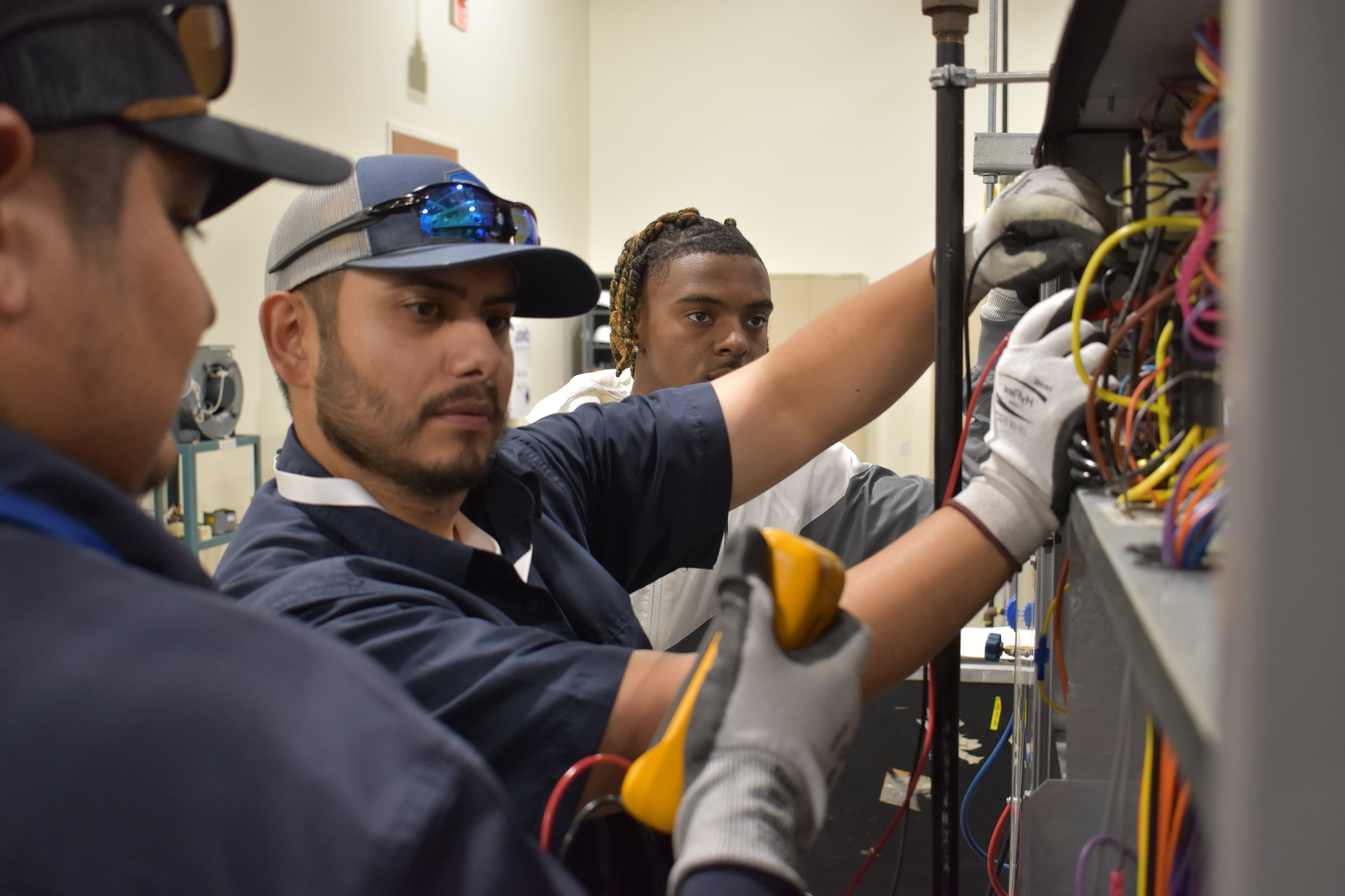 Woman looking at computer