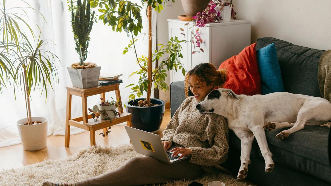 Woman looking at laptop with dog