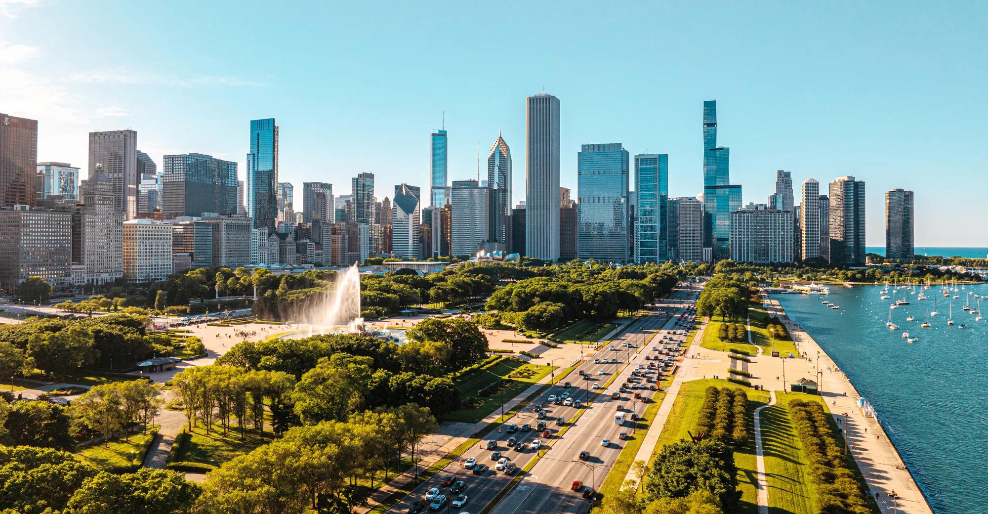 tree meadow with sunshine