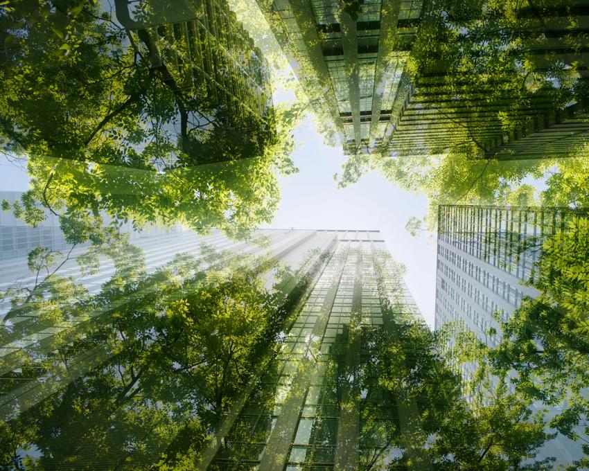 City buildings reflecting plant life