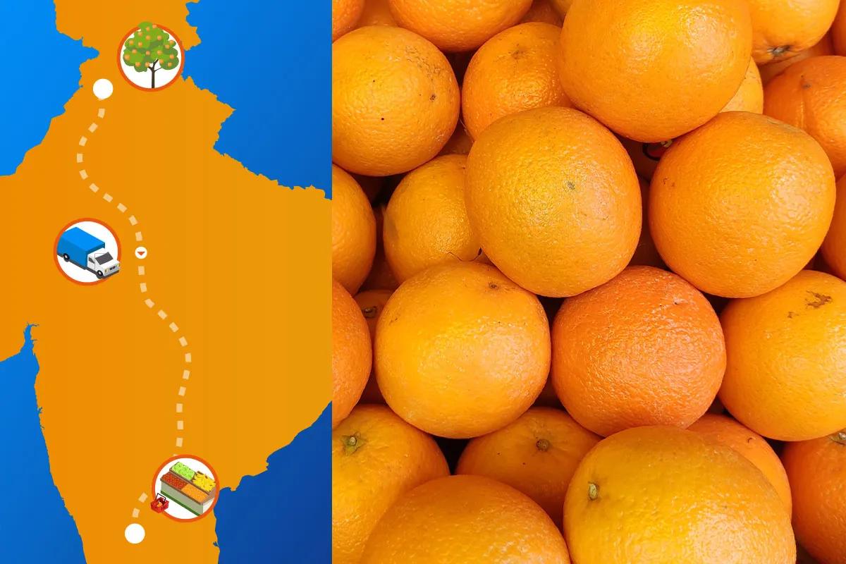 Kinnow Cold Chain Study